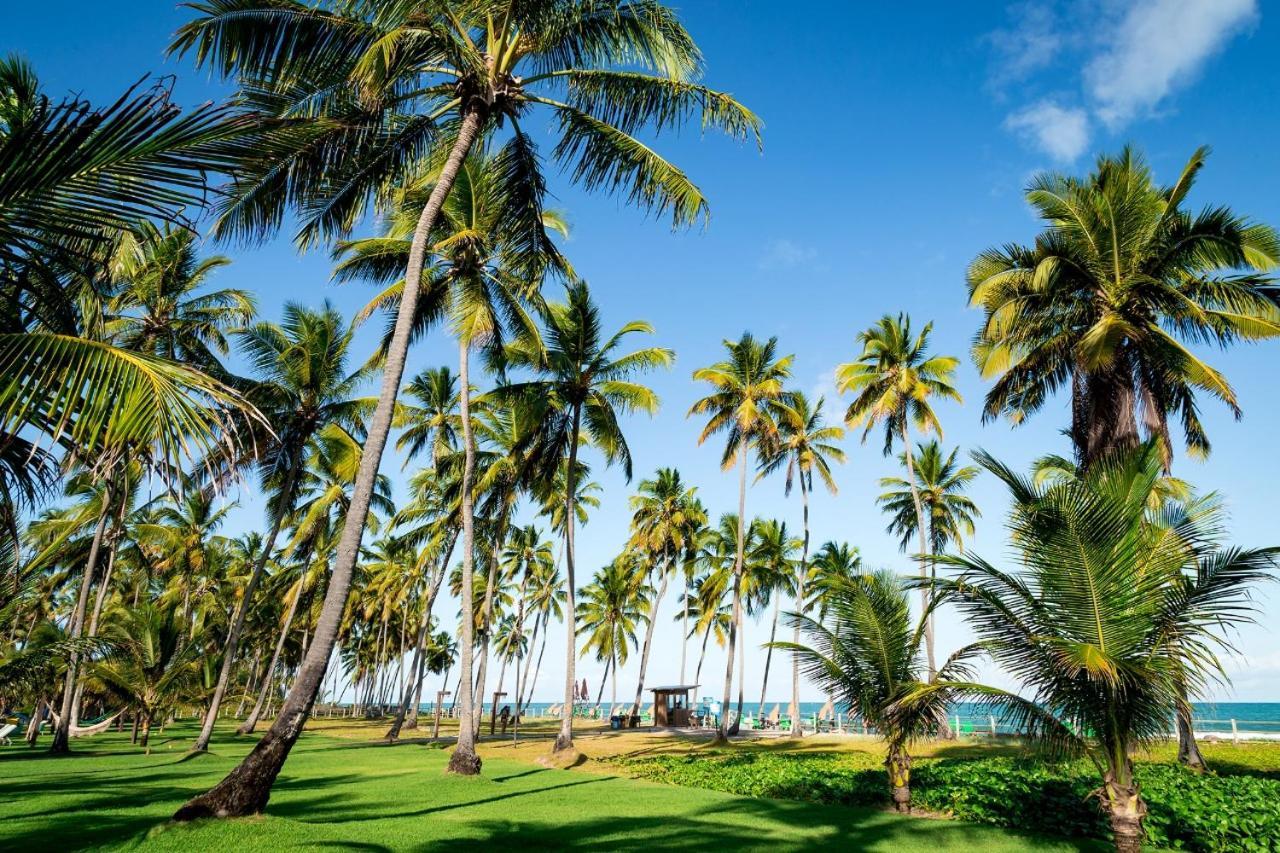 Paraiso Na Terra - Carneiros Beach Resort 타만다레 외부 사진